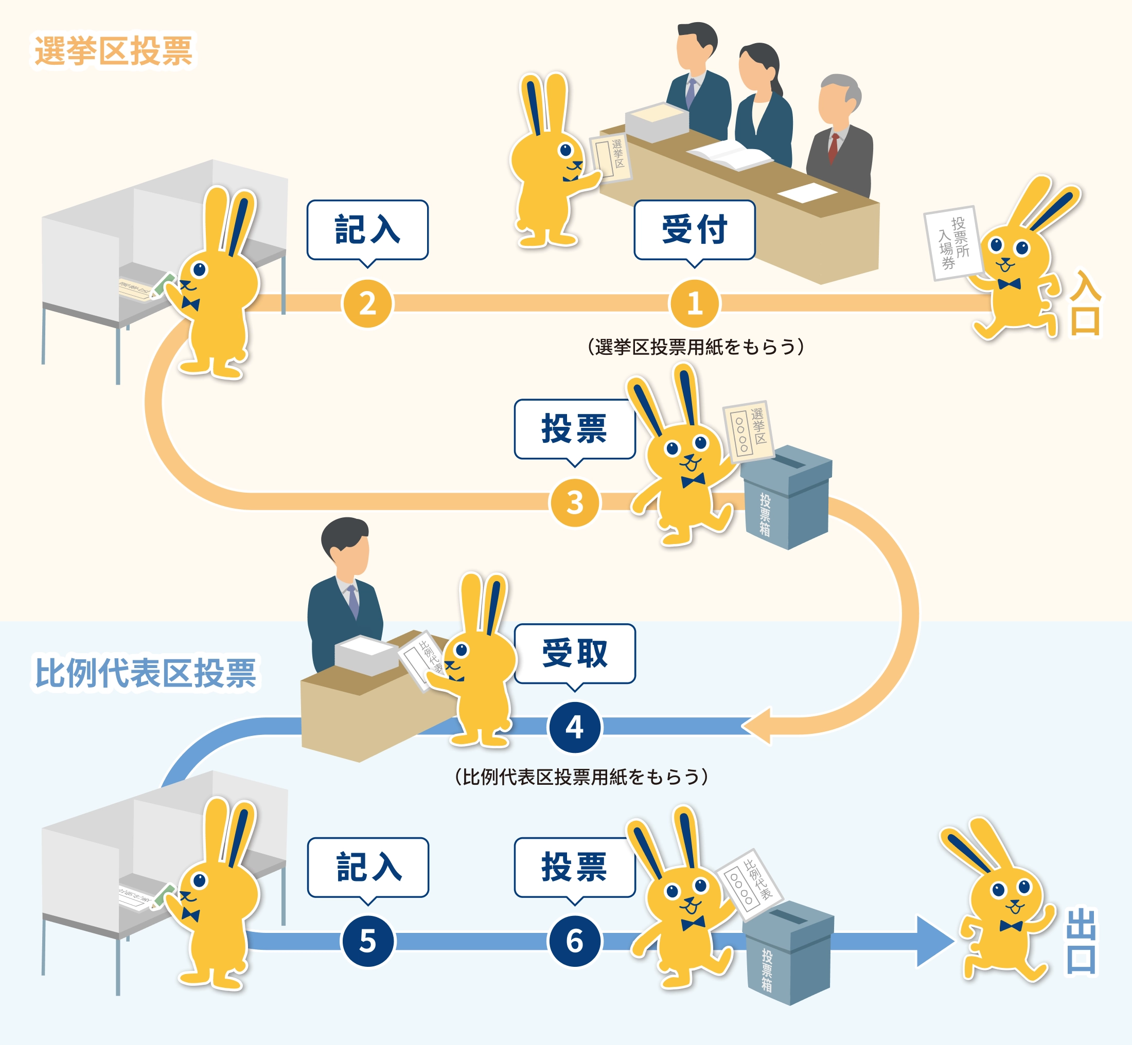 投票の流れの図|選挙区投票用紙をもらう→記入→投票→比例代表区投票用紙をもらう→記入→投票